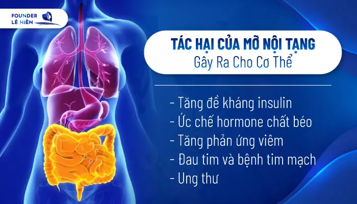 Mỡ nội tạng - Mối đe dọa cho sức khỏe