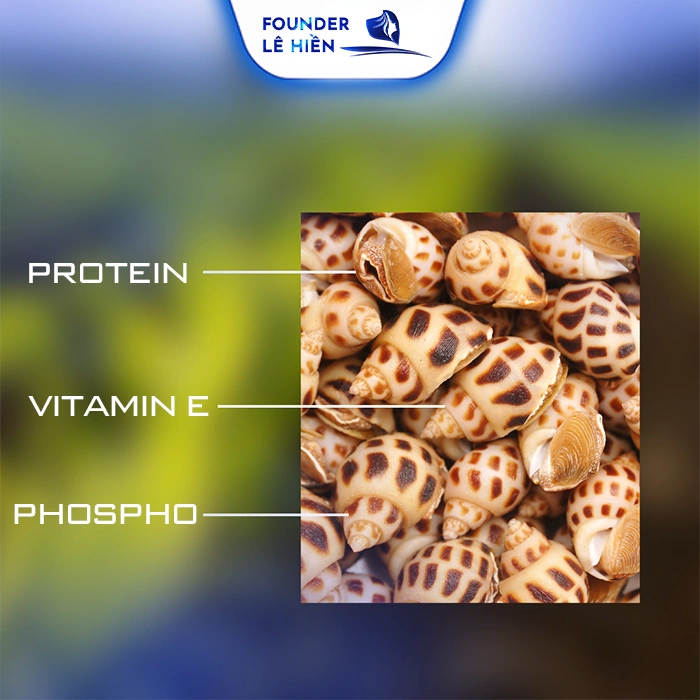 Nâng mũi ăn ốc được không? Thành phần có trong ốc