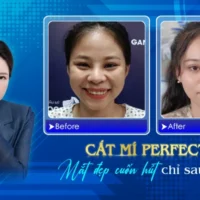 Cat-Mi-Perfect