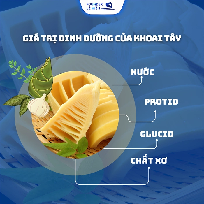Các thành phần chủ yếu có trong măng tre