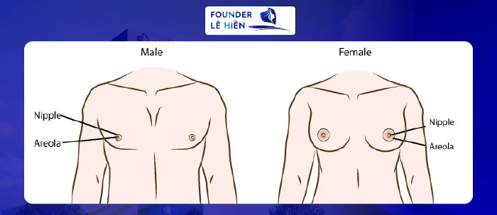Nâng Ngực Cho Người Chuyển Giới: Quy Trình, Chi Phí, Địa Chỉ 2 Nâng ngực cho người chuyển giới
